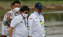 Kawasan Pengembangan Food Estate di Kalteng akan Jadi Lahan Percontohan