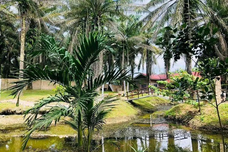 Suasana sekitar rumah pensiun anak muda yang asri dan menengkan. Rumah ini diklaim cocok bagi anak muda yang merasa lelah dengan pekerjaannya.