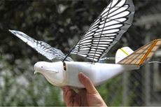 China Kembangkan Robot Burung untuk Keperluan Mata-mata