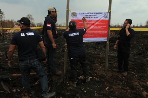 WALHI Sebut 30 Juta Hektare Hutan di Indonesia diberikan ke Korporasi Pascareformasi