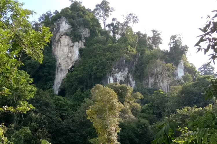 Gunung Putih, Tanjung Palas