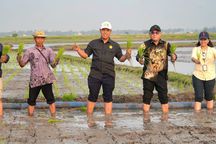 Program Pompanisasi Buat Petani Tersenyum, Mentan Amran: Solusi untuk Tingkatkan Indeks Pertanaman