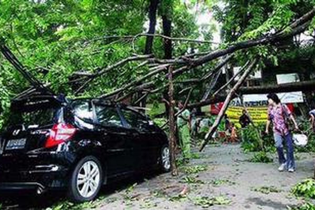 Pohon tumbang di Jalan Sandang, Kemanggisan, Jakarta, menimpa sebuah mobil dan belum dipindahkan hingga Jumat (6/1/2012) pagi. Banyaknya pohon tumbang di sejumlah tempat membuat warga setempat harus melakukan pembersihan jalan secara swadaya.