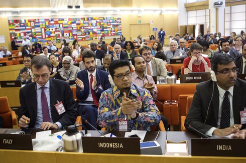 Royhan Nevy Wahab, Putera Indonesia di Komite Hukum dan Konstitusi FAO
