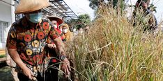 Wali Kota Hendi: Kami Berupaya Mempertahankan Lahan Sawah yang Ada