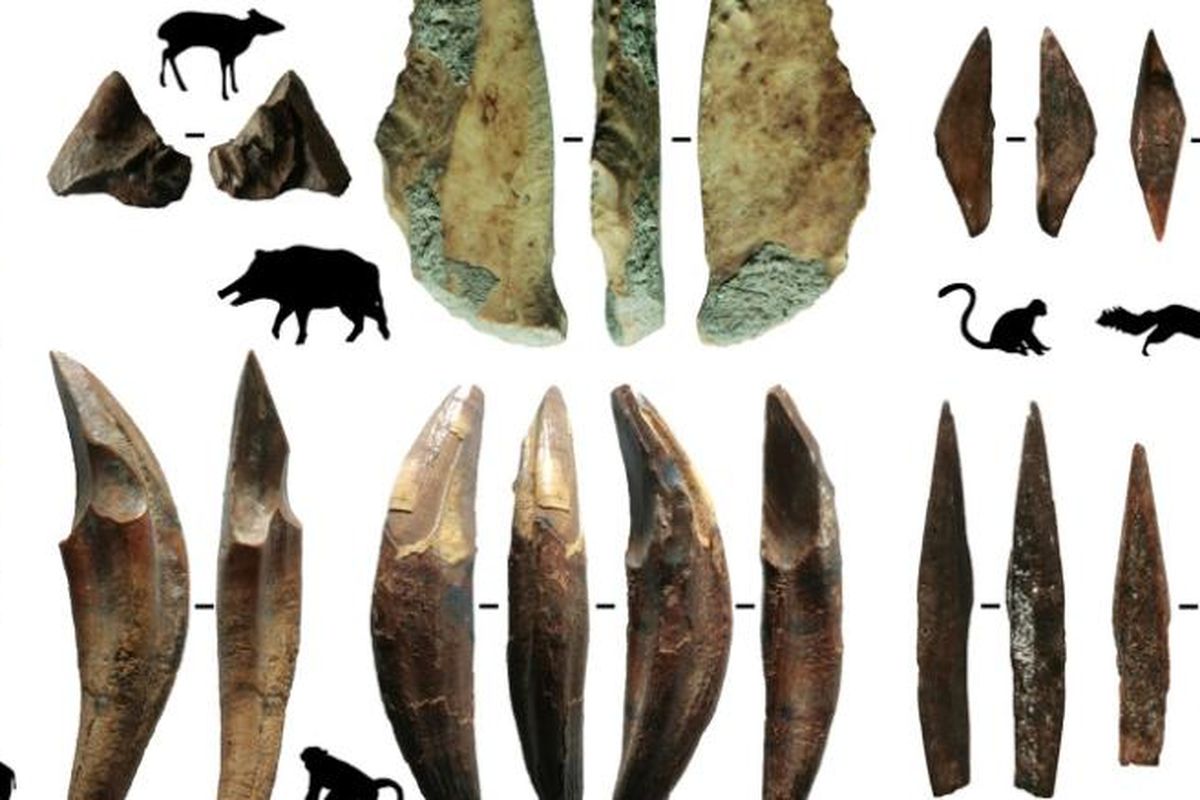 Busur dan panah yang digunakan manusia purba untuk berburu monyet dan tupai.