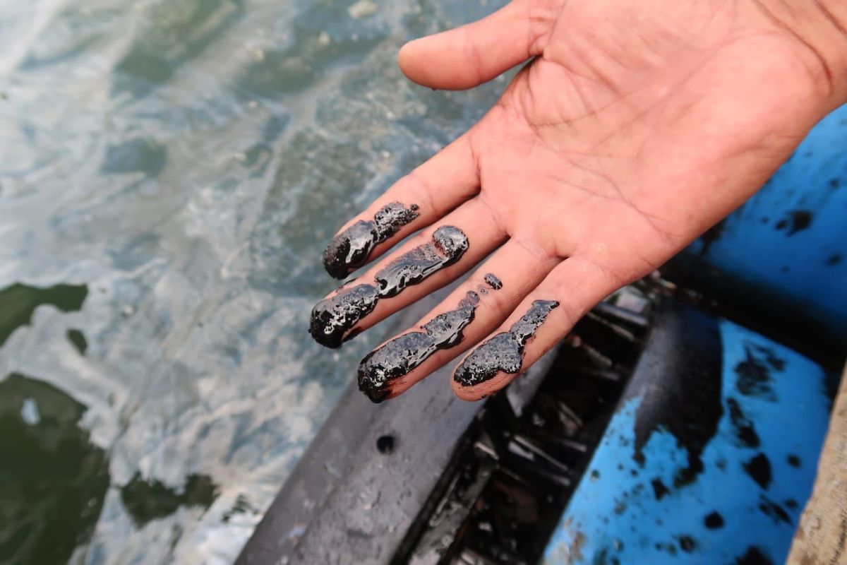 Pencemaran di Pantai Bangsring Banyuwangi, Rabu (19/2/2025) 