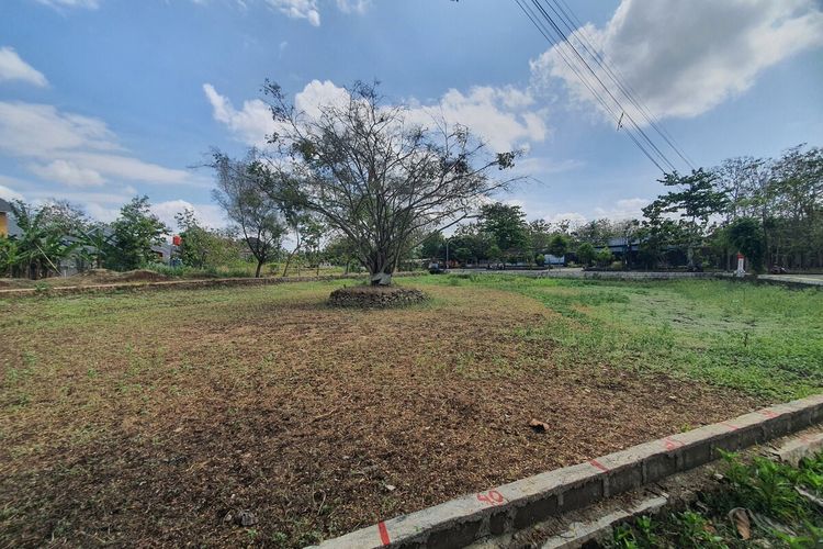 Telaga Budegan, Wonosari, yang mengering, Jumat (12/9/2025)