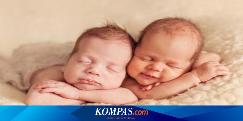 Paling Langka Di Dunia Bayi Kembar Dari 1 Sel Telur Dan 2 Sperma Halaman All Kompas Com