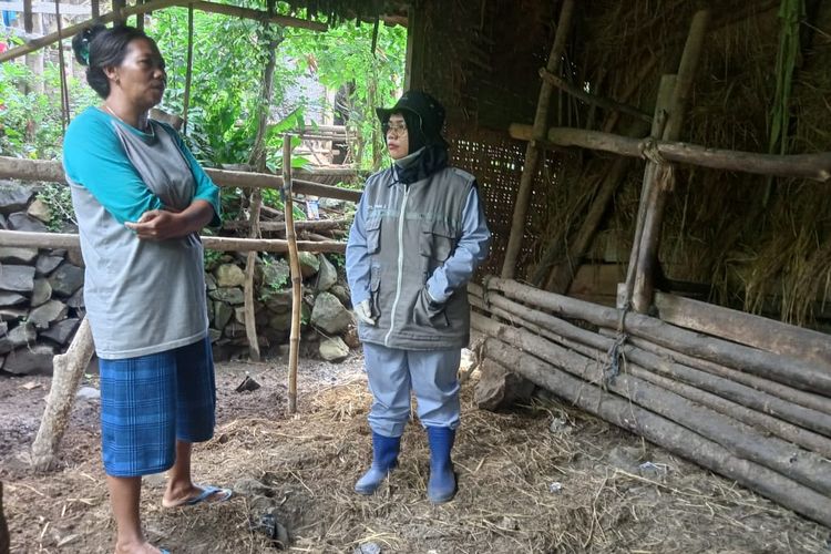 Petugas Dinas Pertanian Kabupaten Nganjuk saat mendatangi kandang salah satu warga yang hewan ternak sapinya mati secara mendadak, Minggu (22/4/2024).