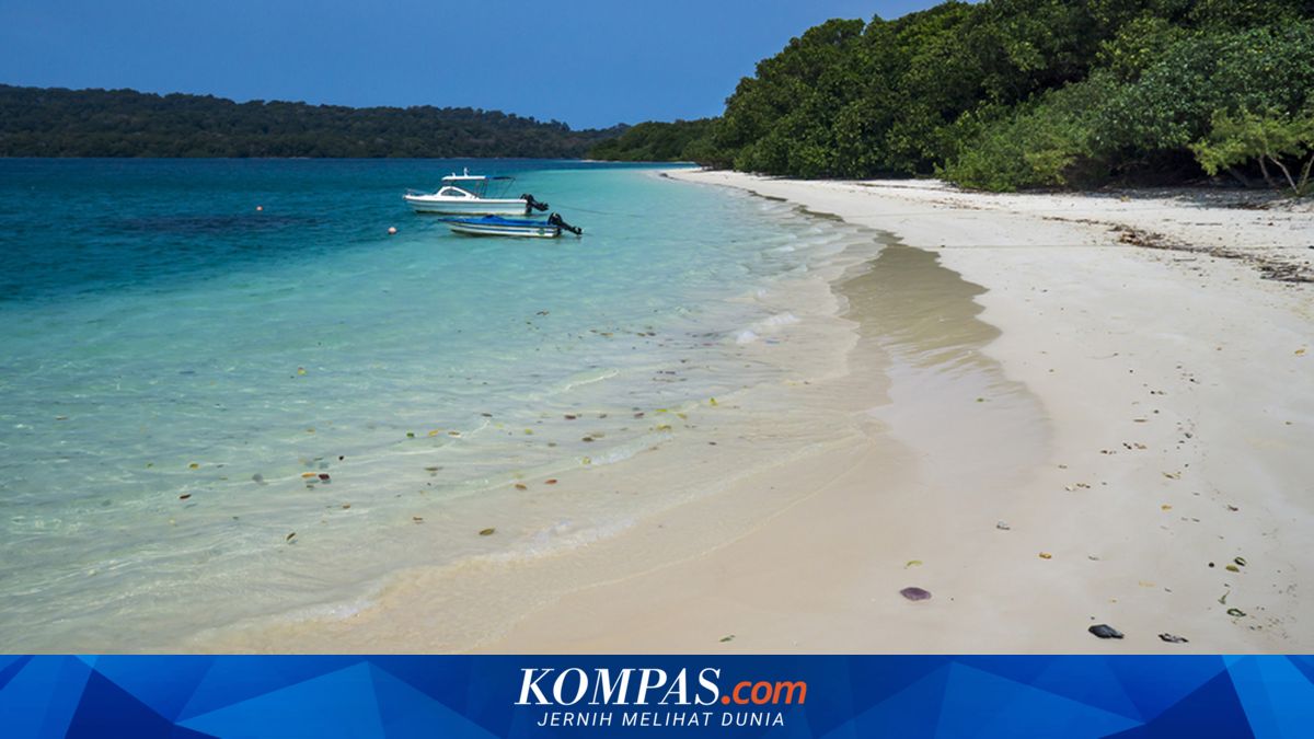 Warga Pandeglang Tewas Diduga Diserang Buaya di Pulau Peucang TN Ujung Kulon
