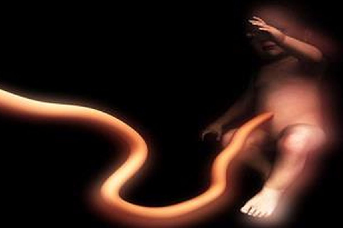 Ilustrasi janin dalam rahim