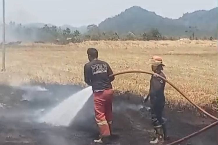 Sejumlah Penerbangan Terdampak Imbas Terbakarnya Rumput di Area Runway 18 Bandara Sam Ratulangi Manado