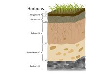 6 Lapisan Horizon Tanah dan Penjelasannya
