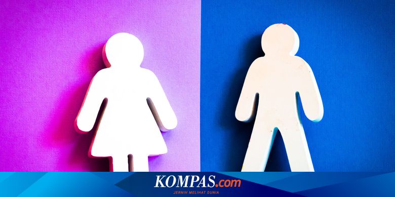 Pelaksanaan Pengarusutamaan Gender Diharapkan Perkecil Kesenjangan - Vimarsana News
