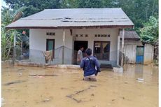 Menilik Kembali Janji Jokowi dan Calon Ibu Kota Baru yang Kebanjiran