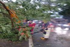 Pohon Tumbang Timpa Kabel Listrik dan Warung di Depok, 2 Orang Selamat