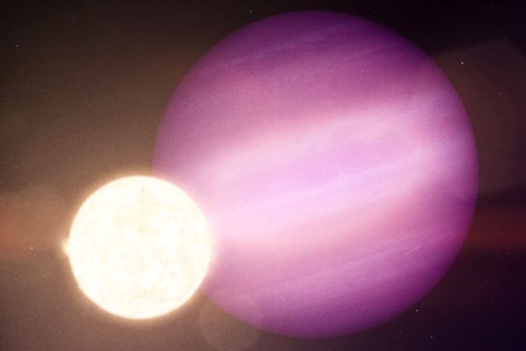 Ilustrasi exoplanet  WD 1856 b, planet raksasa ekstrasurya seukuran Jupiter mengorbit pada bintang induknya, katai putih.