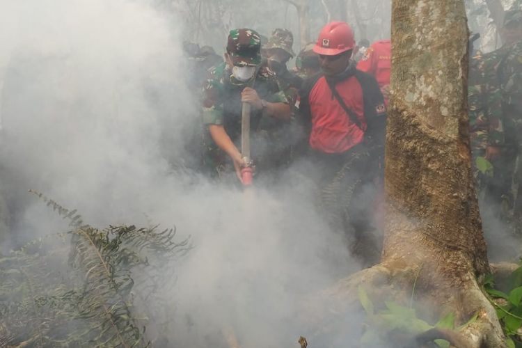 Panglima TNI Marsekal Hadi Tjahjanto mencoba memadamkan api di kebun karet warga saat meninjau karhutla di Kelurahan Terkul, Kecamatan Rupat, Kabupaten Bengkalis, Riau, Sabtu (23/2/2019).