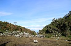 Pendakian Gunung Pangrango Tutup Sementara sampai 18 Agustus 2024