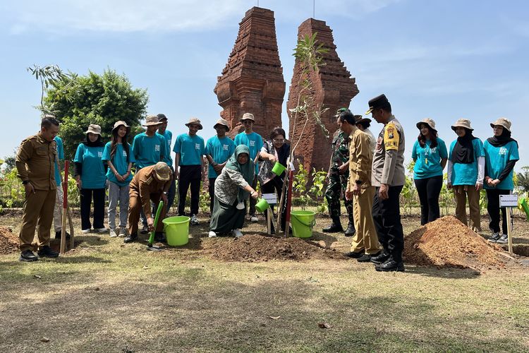 Director Communication Bakti Lingkungan Djarum Fundation (BLDF) Mutiara Diah Asmara, ditemani Kepala Balai Pelestarian Kebudayaan (BPK) Wilayah 11 Provinsi Jawa Timur Endah Budi Hariani, dan Kepala Dinas Lingkungan Hidup Kabupaten Mojokerto Zaqqi, secara símbolos menanam 6.208 bibit pohon dan seka di Kawasan Cagar Budaya Nasional Trowulan, Mojokerto, Jawa Timur, Selasa (27/2024).