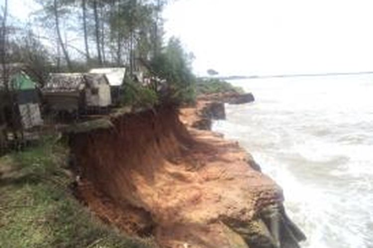 Abrasi Menggila di pesisir Bengkulu sejak 20 tahun terakhir menyebabkan 50 meter daratan hilang, mengancam kehidupan warga.