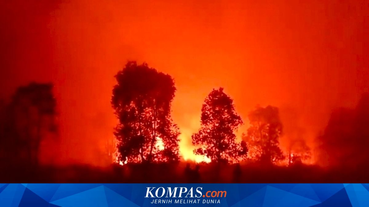 Taman Nasional Way Kambas Kebakaran