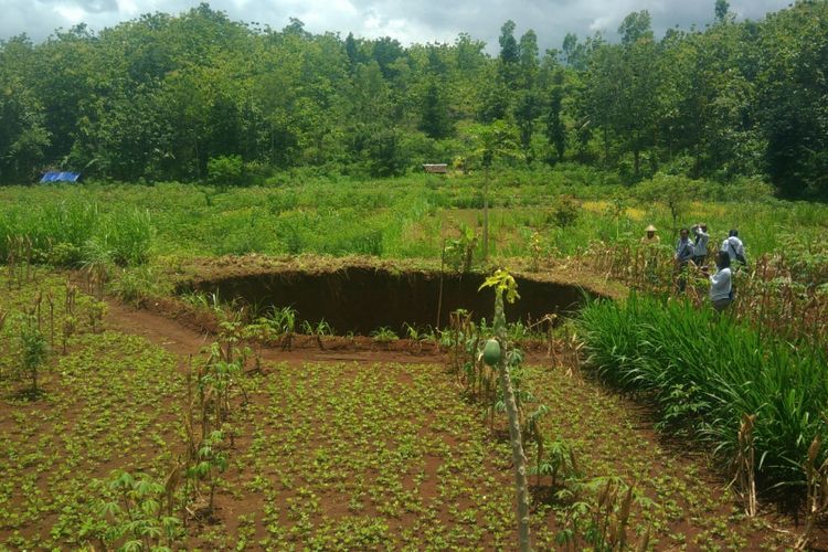 Lubang yang muncul di ladang milik Suyatmi di Dusun Pringluwang, Desa Bedoyo, Kecamatan Ponjong, Gunung Kidul.