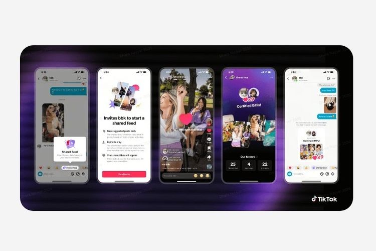 Tampilan fitur Shared Feed di TikTok