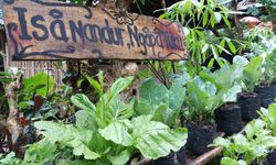 KRPL Bikin Pelapor Khusus PBB Terpikat