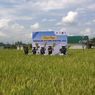 Kemenkominfo Kenalkan Teknologi Pertanian, Manfaatkan Sensor  yang Terintegrasi dengan Ponsel Pintar