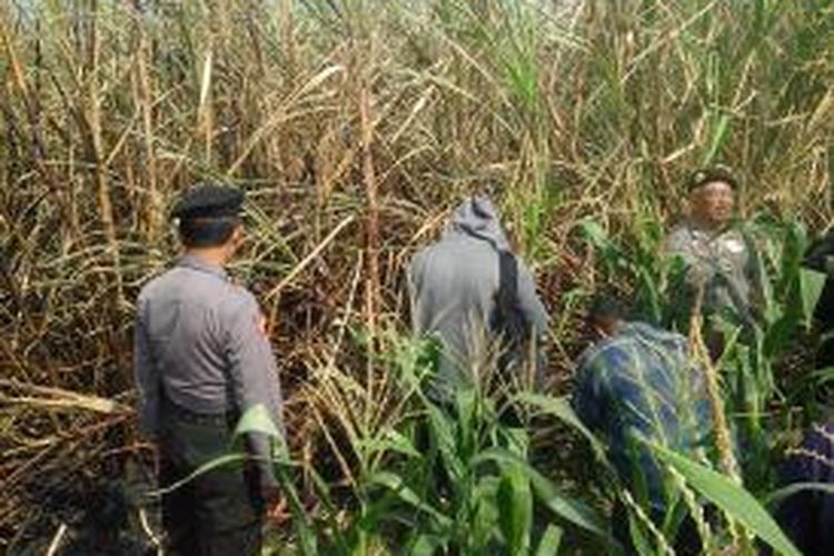 polisi mengamankan lokasi penemuan mayat terbakar di Dusun Jeruk, Desa Tugurejo, Kecamatan Ngasem, Kabupaten Kediri, Jawa Timur, Senin (29/9/2014).