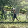 Runtuhnya Usaha Petani Rakyat Akibat RI Masih Bergantung Impor