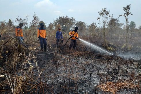 Kebun Sagu Warga Desa Binaan BRG di Kepulauan Meranti Terbakar