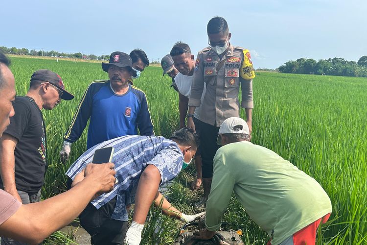 Polisi melakukan penanganan terhadap mayat Marsudi (62) di Desa Demung, Kecamatan Besuki, Kabupaten Situbondo, Provinsi Jawa Timur pada Kamis (21/11/2024).