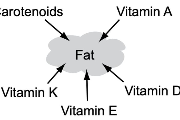 Bagaimana Vitamin yang Larut dalam Lemak Diserap?