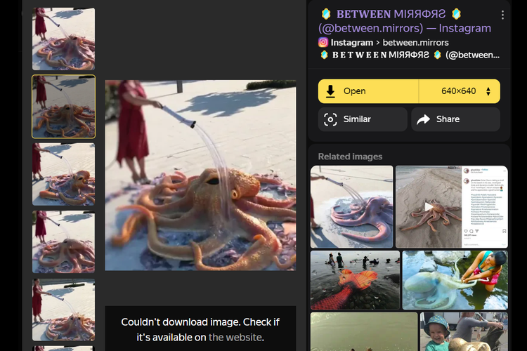 Tangkapan layar hasil pencarian gambar di Yandex, soal video yang menyebut bahwa gurita dapat hidup di darat.