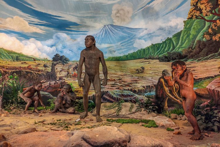 Gambaran kehidupan manusia purba Homo Erectus di Museum Sangiran.