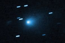 Hari Ke-9 Longsor Banjarnegara, 16 Korban Hilang Masih Dicari