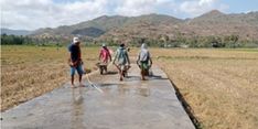 Jalan Usaha Tani Perluas Jangkauan Pasar Petani di Kabupaten Bima