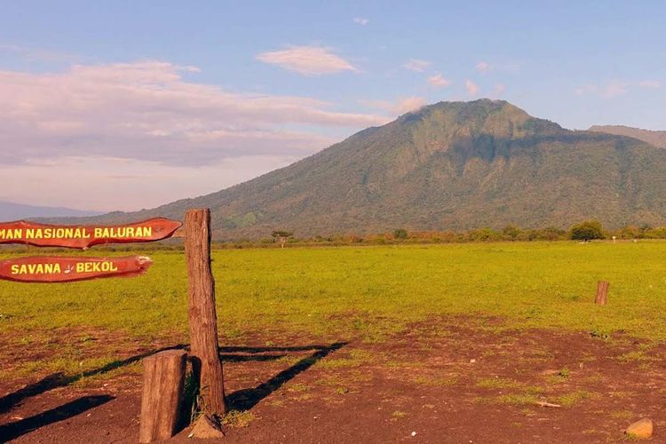 Savana Bekol di Taman Nasional Baluran.
