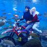 Aturan Wisata ke Umbul Ponggok Saat Lebaran, Bawa Surat Bebas Covid-19