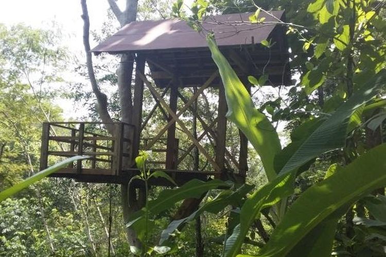 Tempat untuk bersantai di Wisata Hutan Lindung Watu Gembel, Kulon Progo, Yogyakarta.