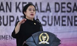 Puan Beri Komentar soal Usulan Penambahan Usia Pensiun ASN dan Revisi UU TNI