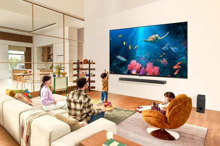 TV LG QNED 2024