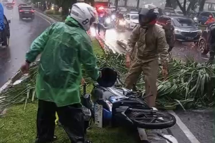 Hujan Deras Picu Pohon Tumbang di Cibinong, Satu Pengendara Motor Tewas