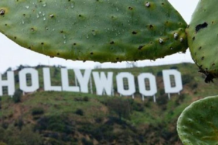 Ikon tulisan Hollywood difoto dari bawah bukit.