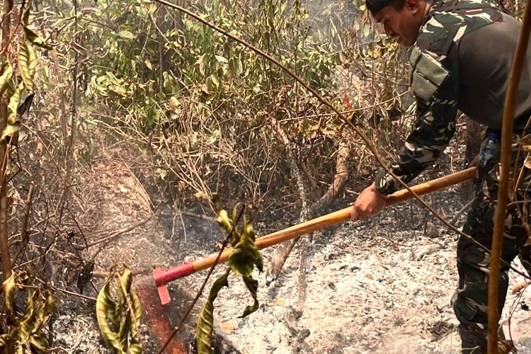 Kebakaran Bawah di Utara Way Kambas, Helikopter Dikerahkan untuk Padamkan Api