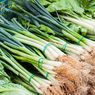Cara Menyimpan Daun Bawang di Kulkas agar Awet Berminggu-minggu 