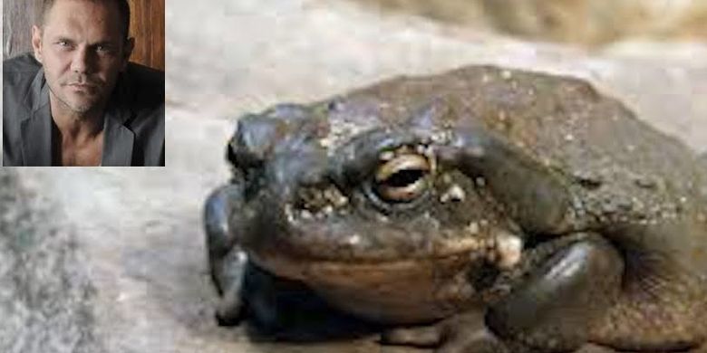 Because of Poisonous Toad, Spanish Porn Star Charged With Murder Page all